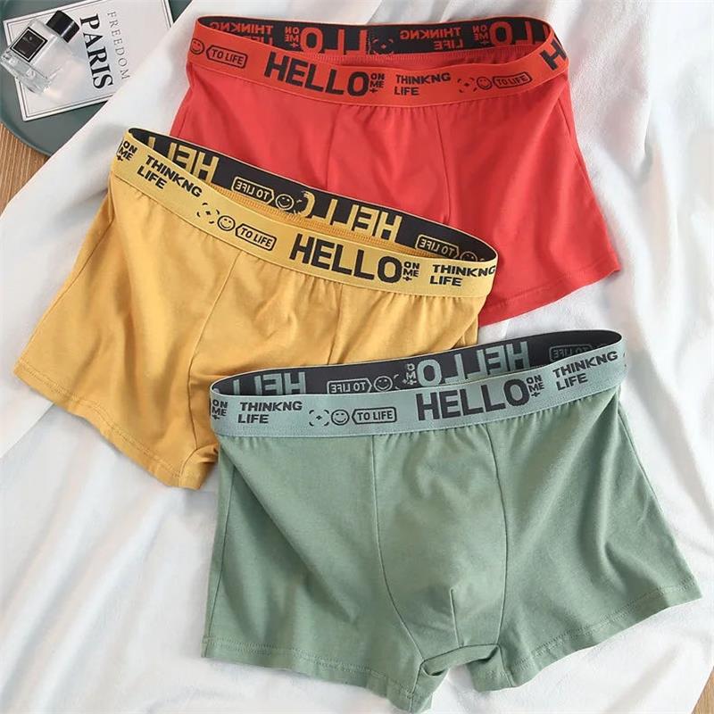 10 조각/남성 속옷 남성 순수 코튼 팬티 남성 브랜드 - Boxer Brief Pack Cotton 리뷰 및 가격