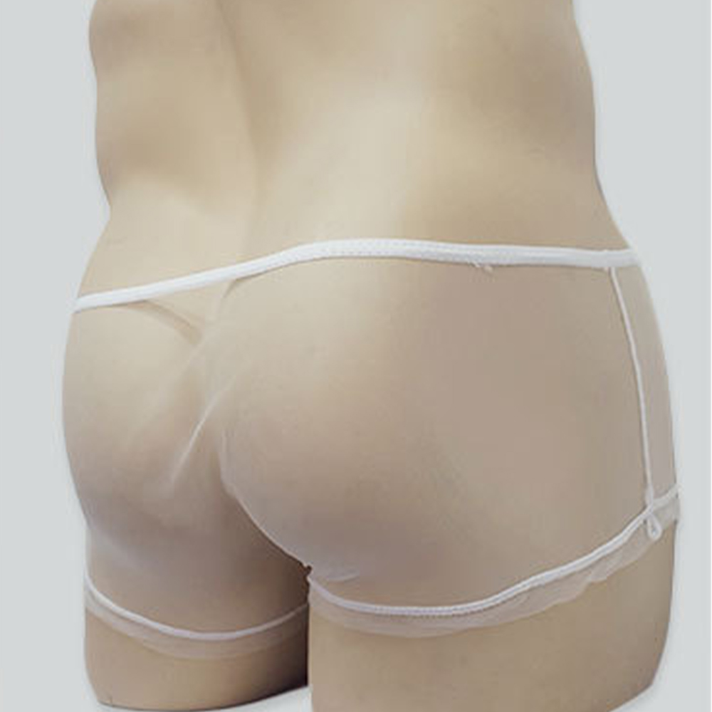 남성용 시스루 팬티, 핫한 남성을 위한 튤 비키니, 통 - Trunk Breathable Men 리뷰 및 가격