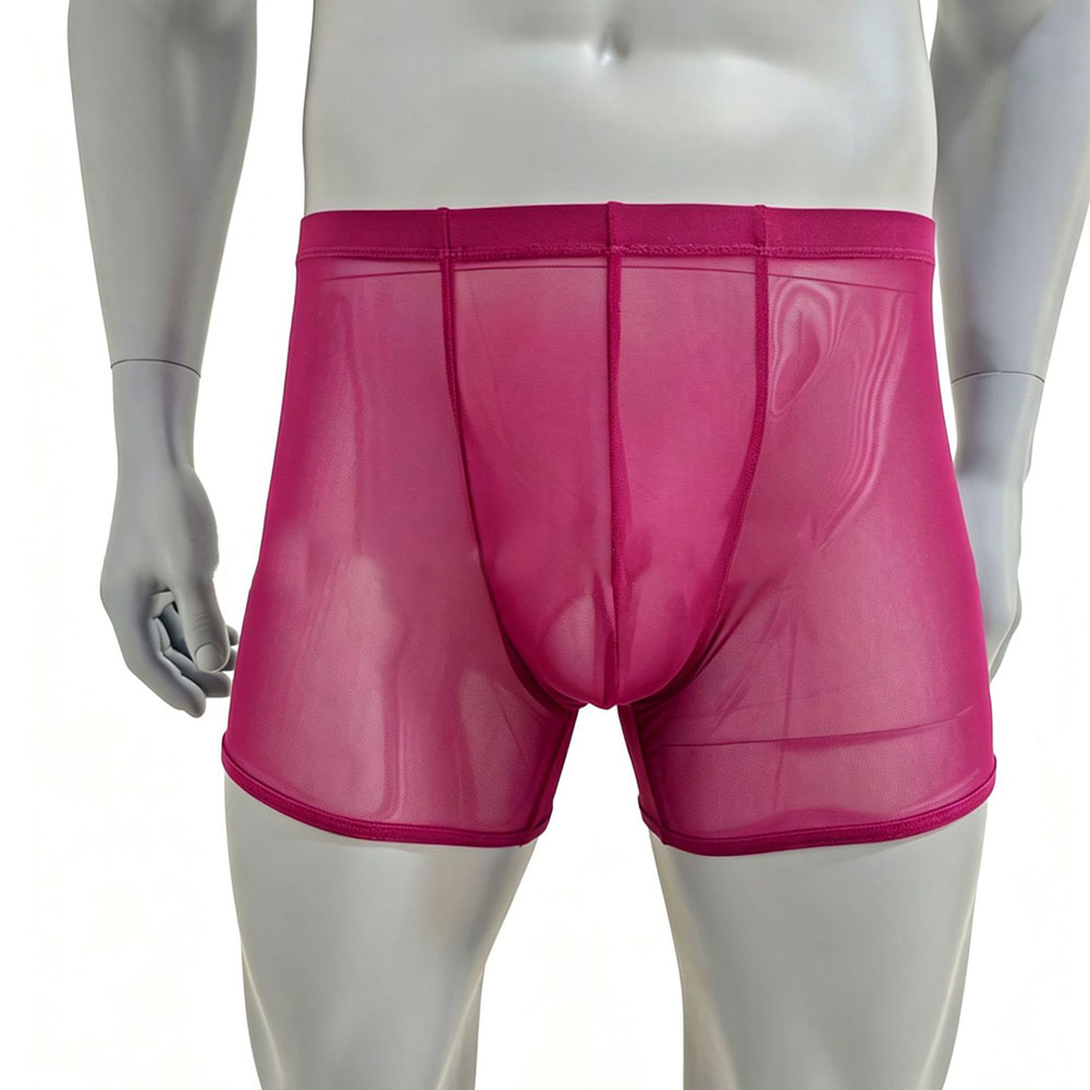 남성용 메쉬 시스루 초박형 복서 반바지 속옷 하이웨이스 - Long Leg Trunk Men 리뷰 및 가격